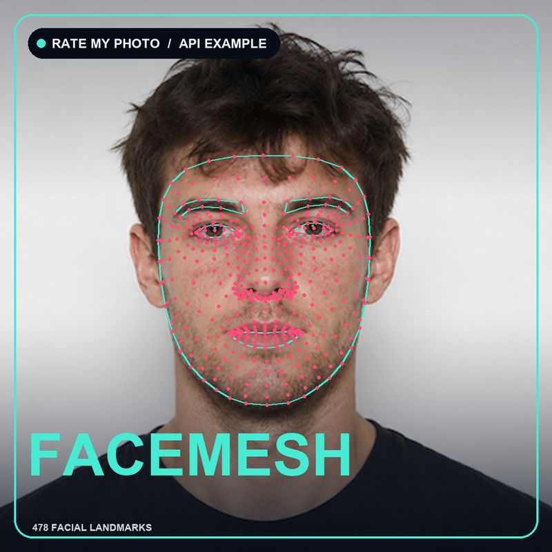 Facial landmark mesh